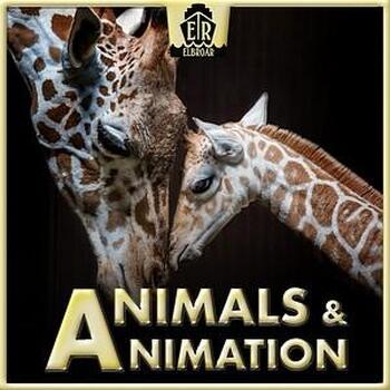 Animals & Animation
