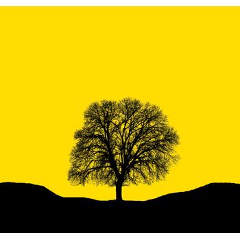 Orchestral Landscapes