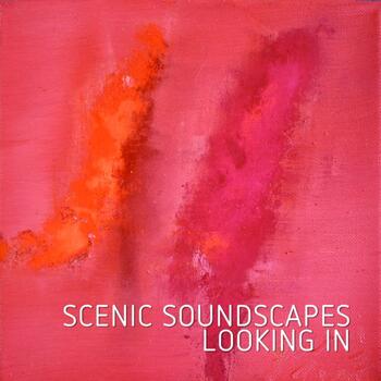  Scenic Soundscapes - Looking In