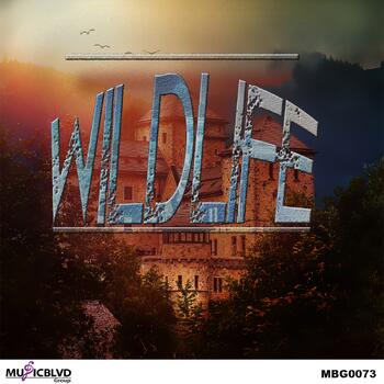 Wildlife