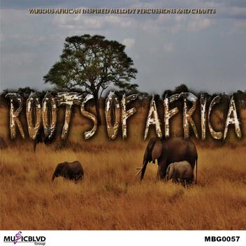 Roots Of Africa