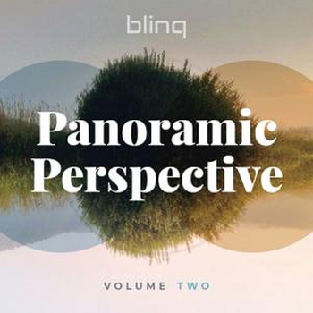 blinq 071 Panoramic Perspective vol.2