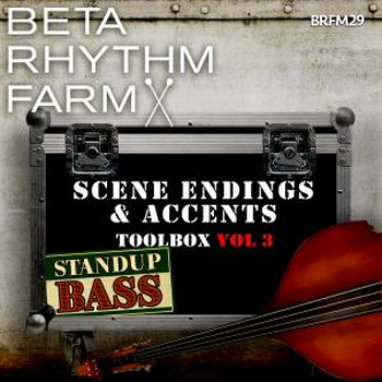 BRFM029 - Scene Endings & Accents Toolbox Vol 3 Standup Bass