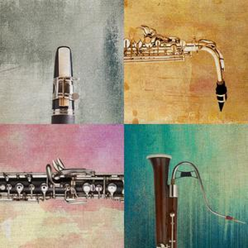 Woodwind Colours