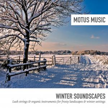 Winter Soundscapes