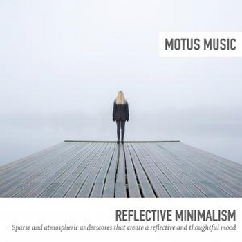 Reflective Minimalism