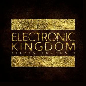 Electronic Kingdom
