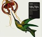 Uplifting Rhythms