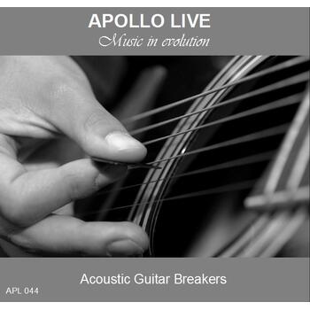 ACOUSTIC GUITAR BREAKERS