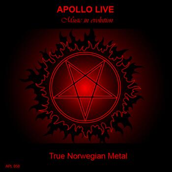 TRUE NORWEGIAN METAL