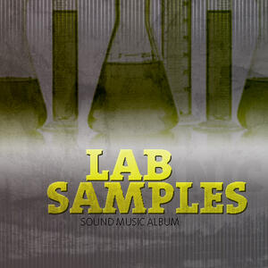 Sound Music Album 51 - Lap Samples