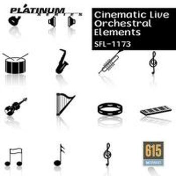  Orchestral Shorts / Hits & Drones