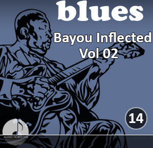 Blues 14 Bayou Inflected Vol 02