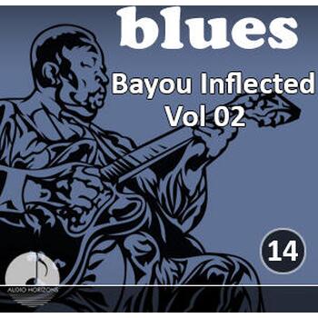 Blues 14 Bayou Inflected Vol 02