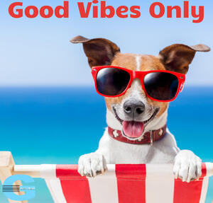 Good Vibes Only