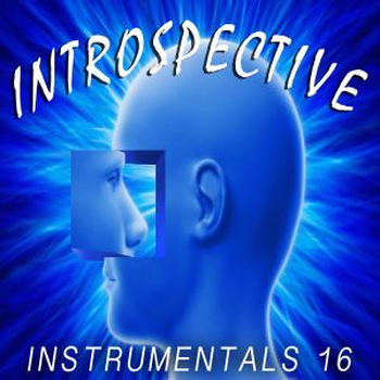 Introspective 16