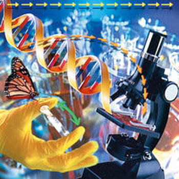 SOUNDS OF SCIENCE 5 - SOUNDBEDS