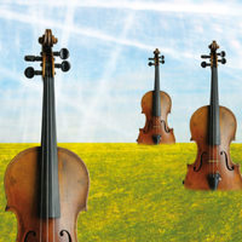 VIOLINSCAPES - Jonathan Potts & Mike Trim