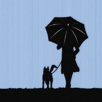 STORIES FROM THE HEART