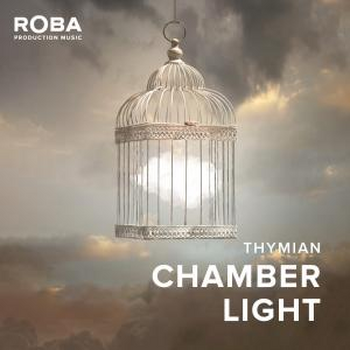 Chamber Light