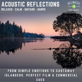 Acoustic Reflections