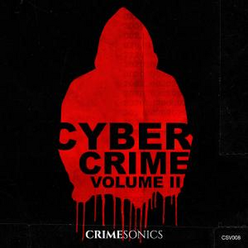 Cyber Crime II