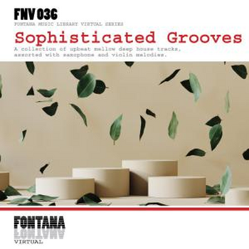 Sophisticated Grooves