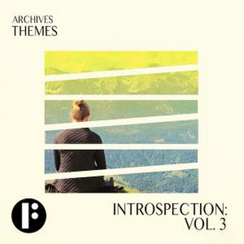 Introspection Vol 3