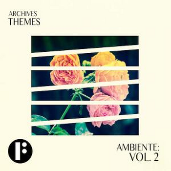 Ambiente Vol 2