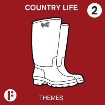 Country Life Vol 2