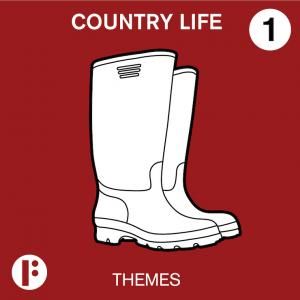 Country Life Vol 1