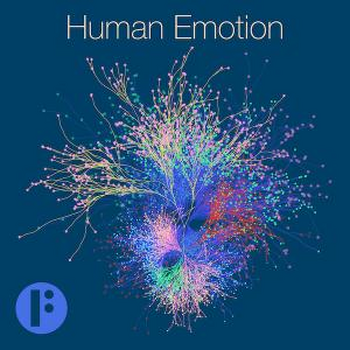 Human Emotion