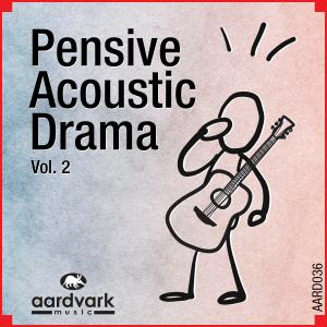 PENSIVE ACOUSTIC DRAMA VOL2