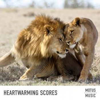Heartwarming Scores