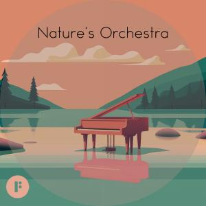 Nature's Orchestra