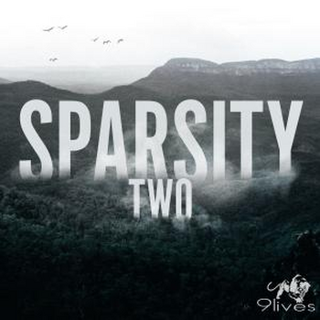 Sparsity Two