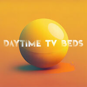 DAYTIME TV BEDS