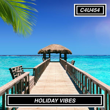 HOLIDAY VIBES