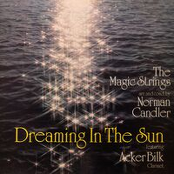 DREAMING IN THE SUN
