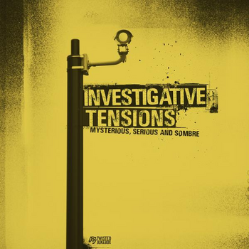  Investigative Tensions