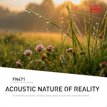 Acoustic Nature Of Reality