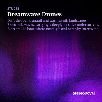 Dreamwave Drones
