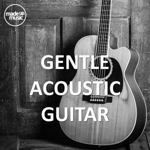 Gentle Acoustic Guitar