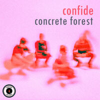 CONFIDE