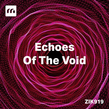 Echoes Of The Void
