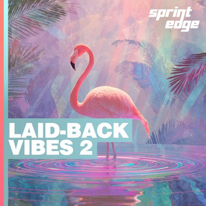 Laid-Back Vibes 2