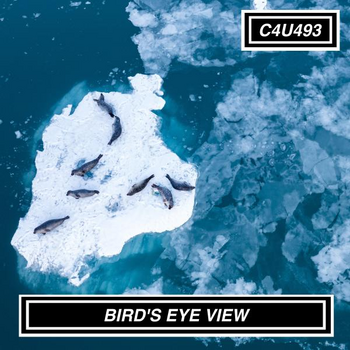 BIRDS EYE VIEW