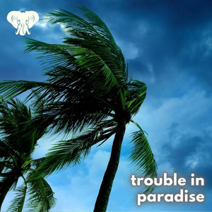 Trouble In Paradise