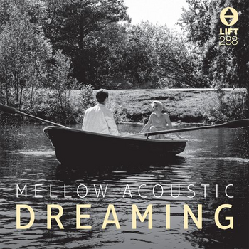 Mellow Acoustic Dreaming