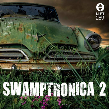 Swamptronica 2